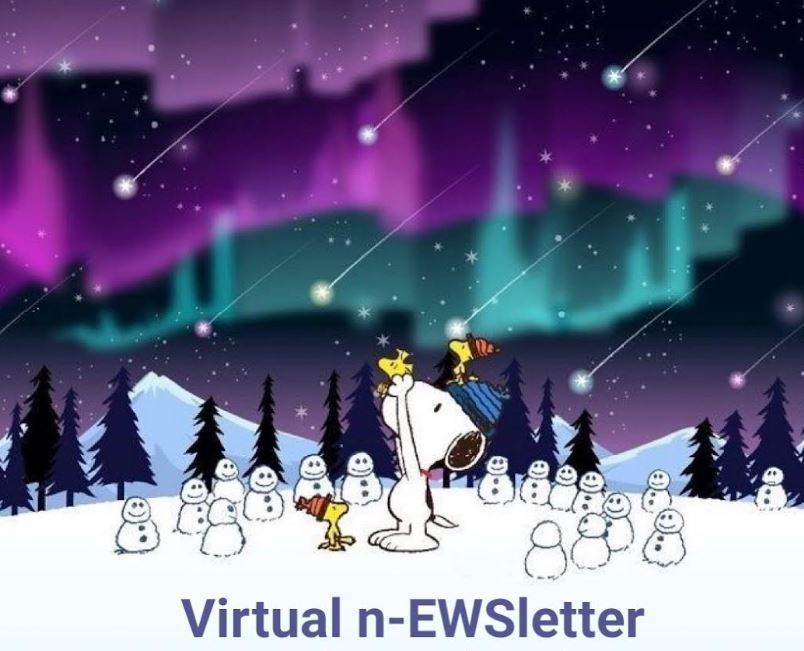Virtual n-EWS-letter 12-23-22